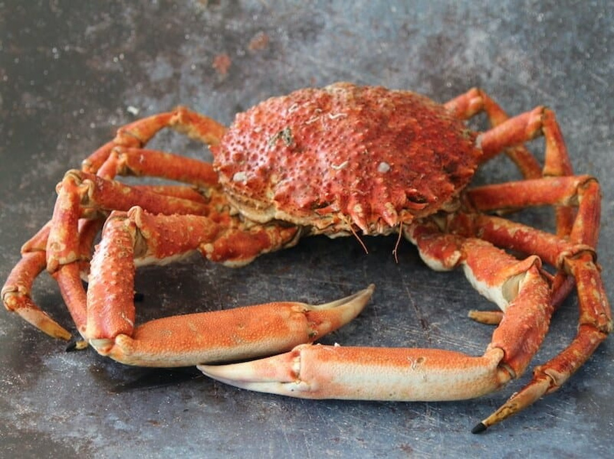 14 Fish You Should Consider Never Eating