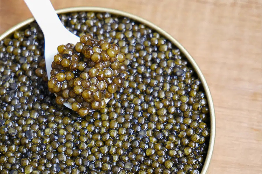 14 Fish You Should Consider Never Eating