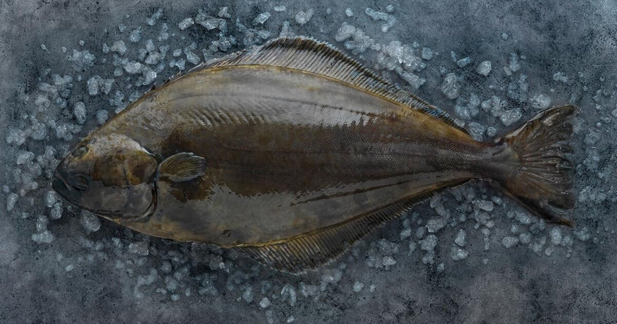 14 Fish You Should Consider Never Eating