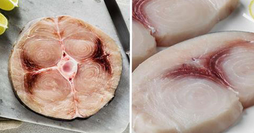 14 Fish You Should Consider Never Eating