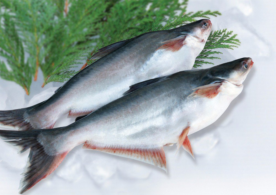 14 Fish You Should Consider Never Eating