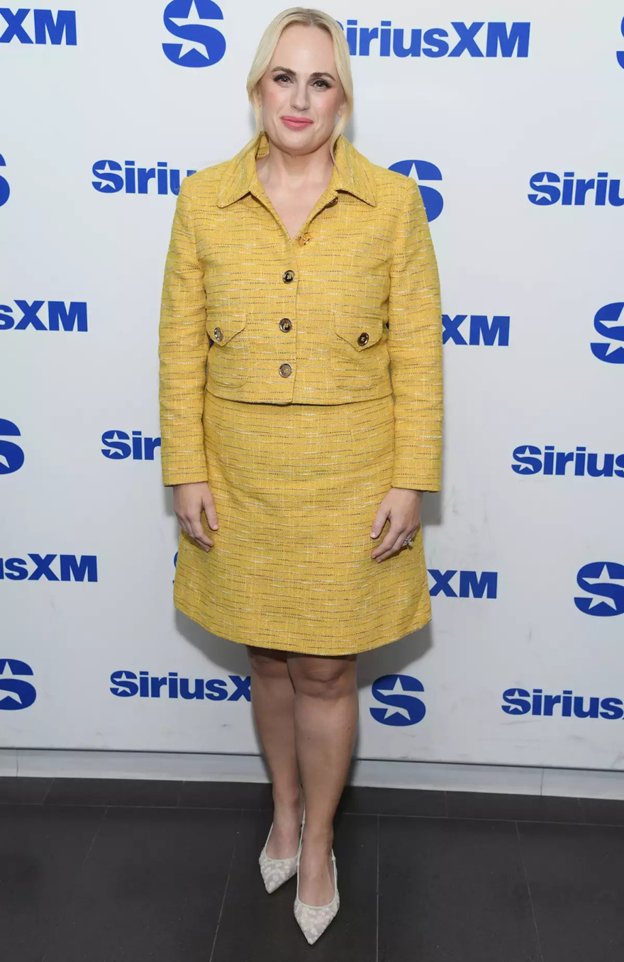 Rebel Wilson Reveals How Her Weight Loss Journey Redirected Her Career: ‘I Kind of Untypecast Myself by Losing Weight’