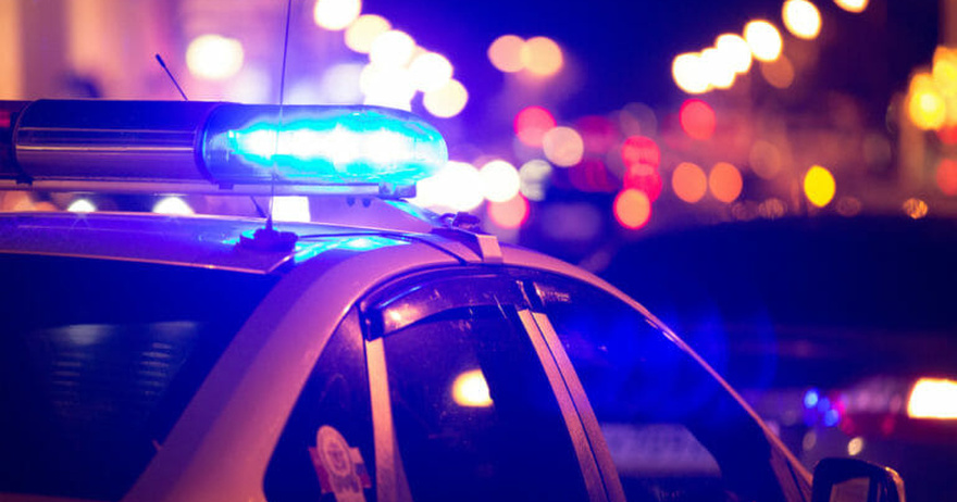 Florida influencer arrested for disturbing acts involving her dog