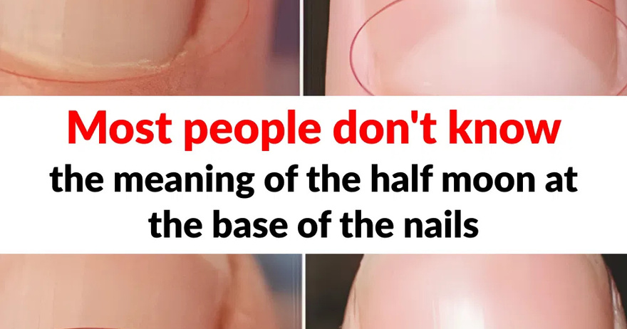 What does the half moon at the base of the nails mean?