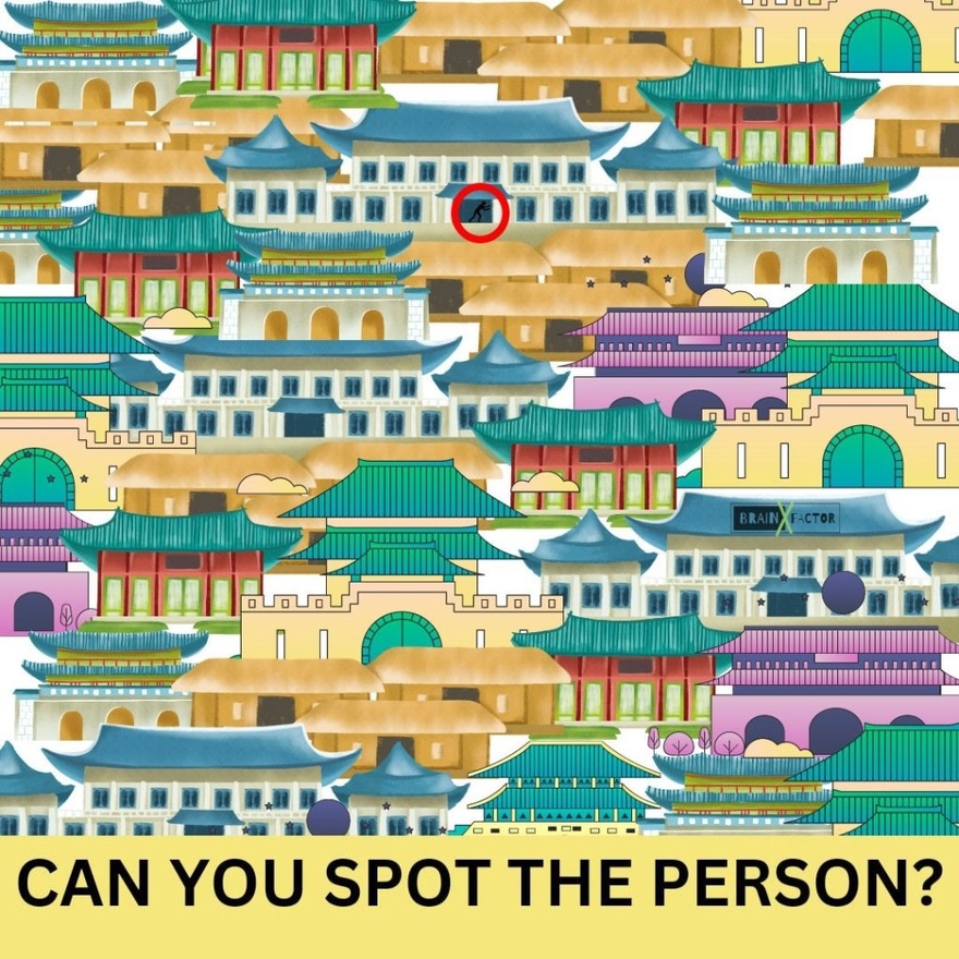 Can You Spot The Person?