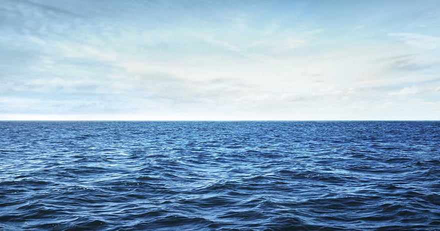 Depressing find at the bottom of the Mariana Trench is a warning to the world