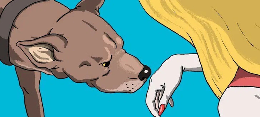 Dogs can tell who is good and who is bad person