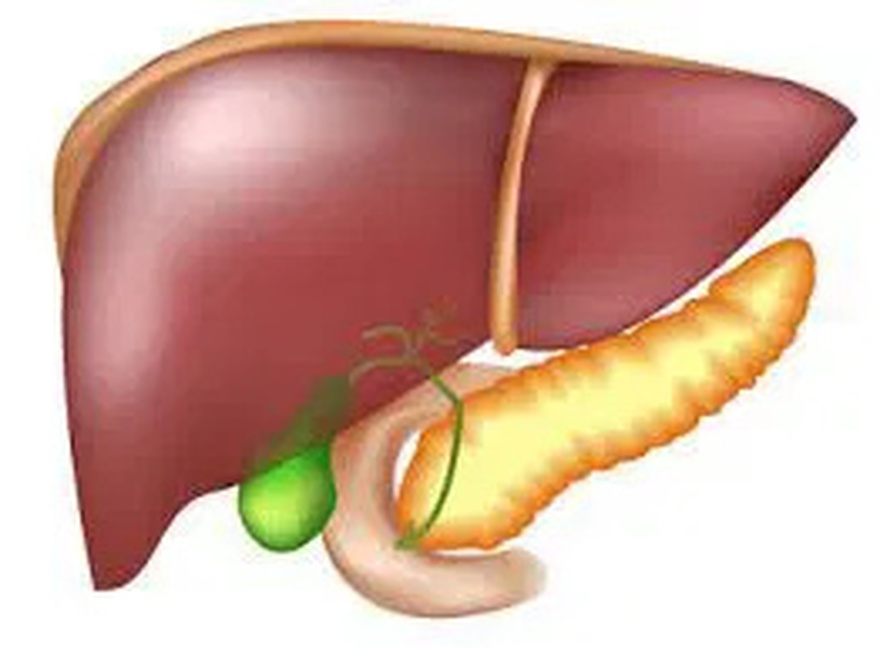 How to Detox Each Organ To Never Be Sick or Tired Again