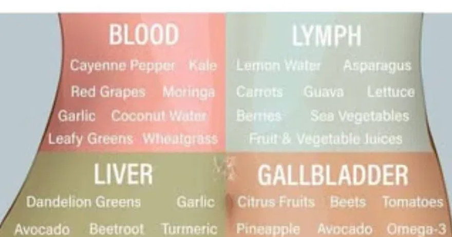 How to Detox Each Organ To Never Be Sick or Tired Again