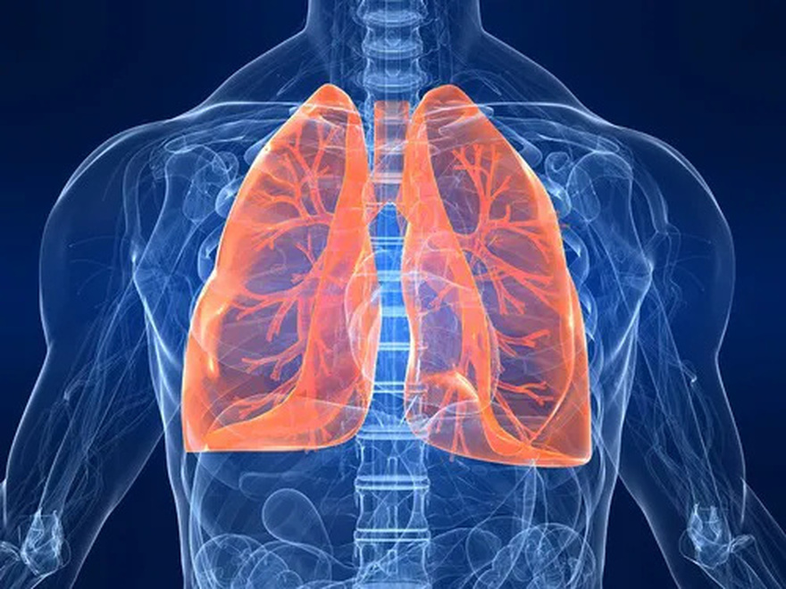 How to Detox Each Organ To Never Be Sick or Tired Again