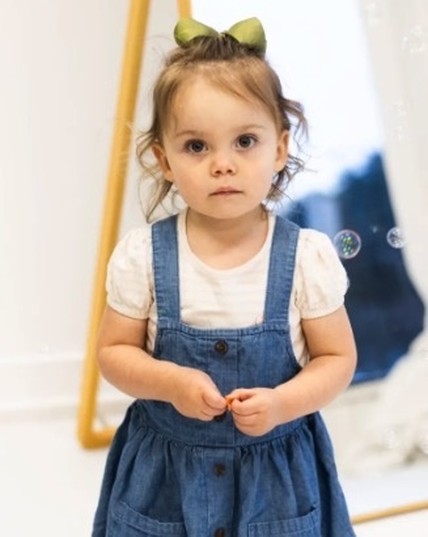 2-year-old girl killed by her grandpa alongside grandma and dad