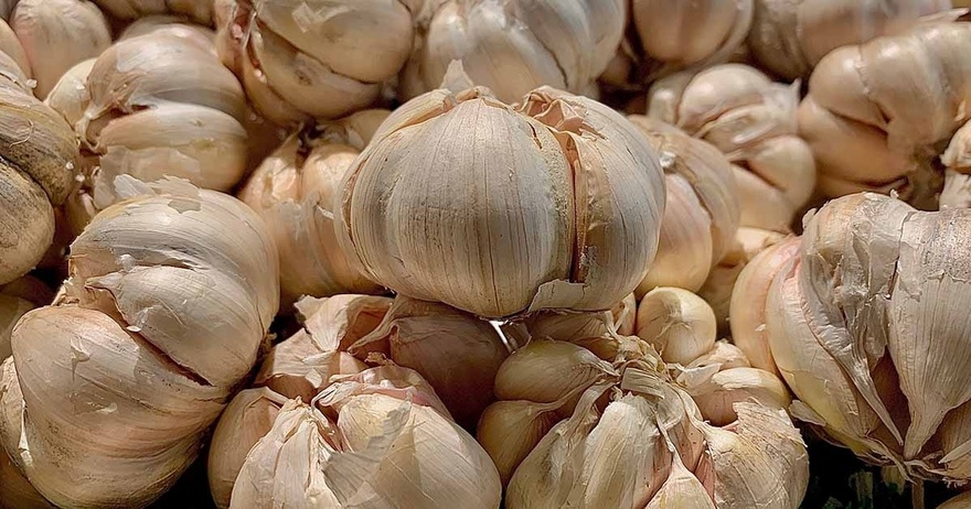6 Reasons To Eat Garlic Before Going To Bed