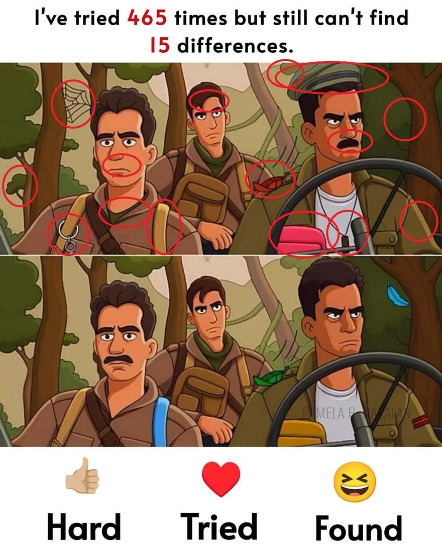 Test: Only a person with a high IQ can find the 15 differences