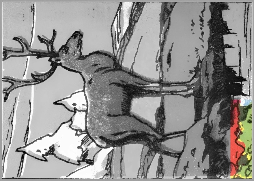 Test your eye skills: Where is the hunter hidden?