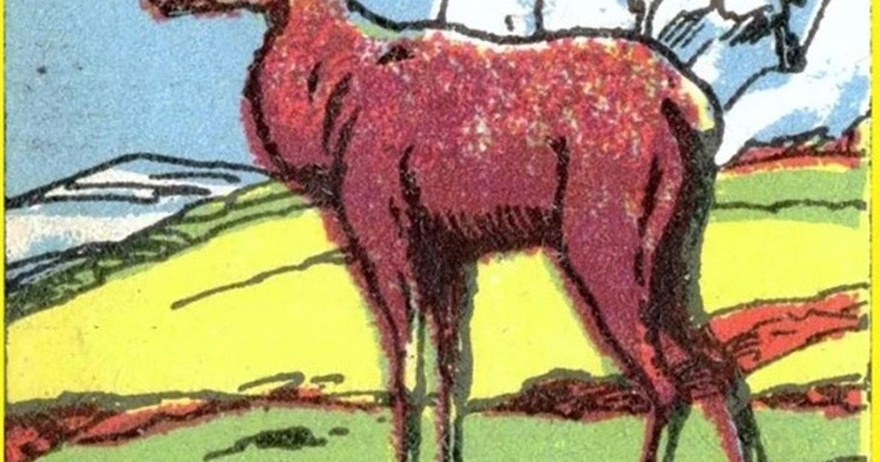 Test your eye skills: Where is the hunter hidden?