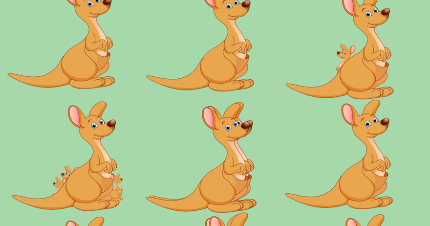 How Many Kangaroos Do you See?