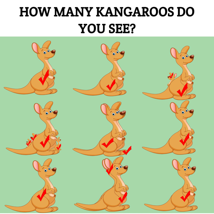 How Many Kangaroos Do you See?
