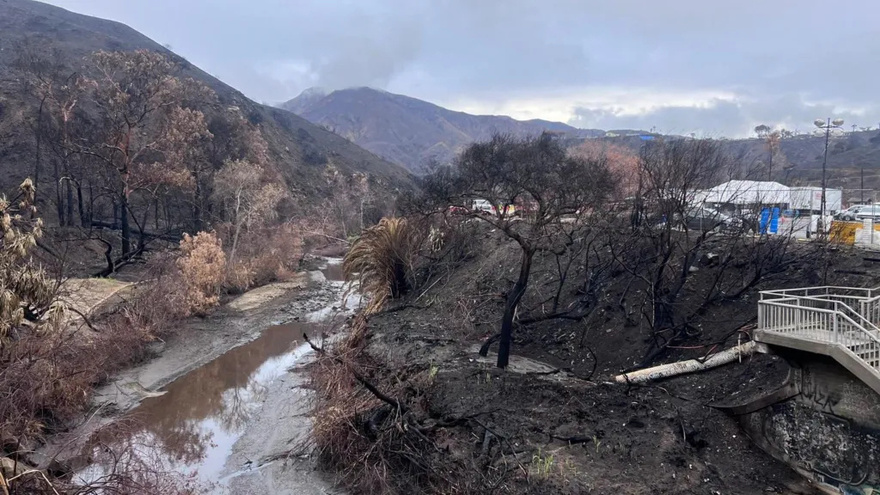 From Baywatch to toxic waste – LA’s iconic beaches unrecognisable after fires