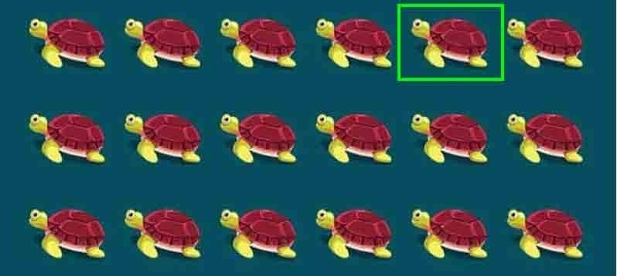 Can You Spot the Difference in These Pictures?