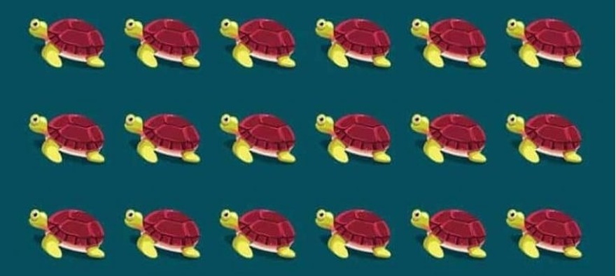 Can You Spot the Difference in These Pictures?
