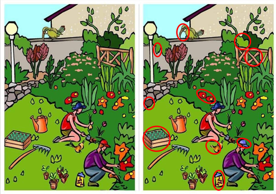Can You Spot the Difference in These Pictures?
