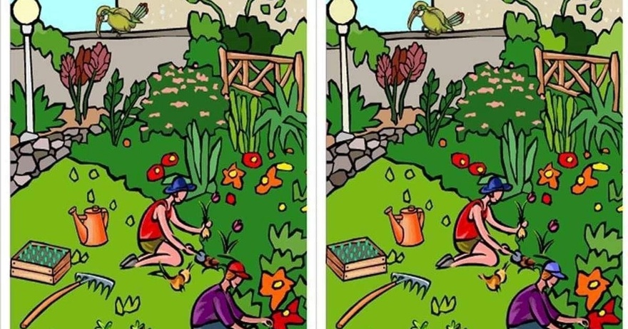 Can You Spot the Difference in These Pictures?