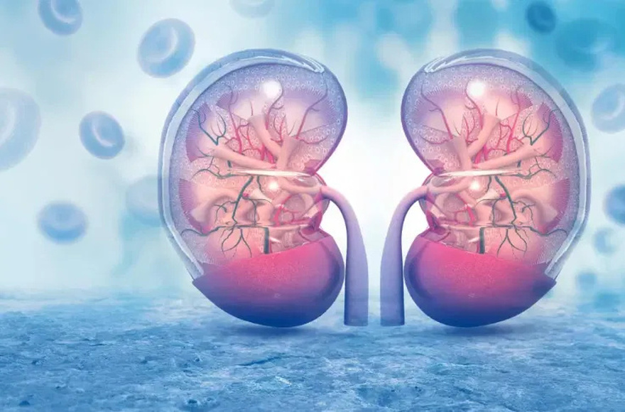 The first SYMPTOMS that w:arn of kidney failure, DO NOT ignore them!