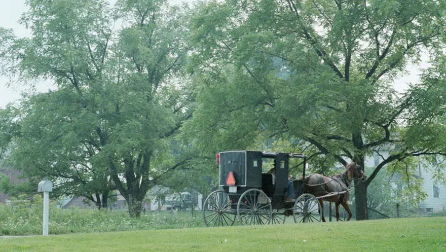 3 Amish Children K!lled in Buggy ᴄʀᴀsʜ on Their Way to School