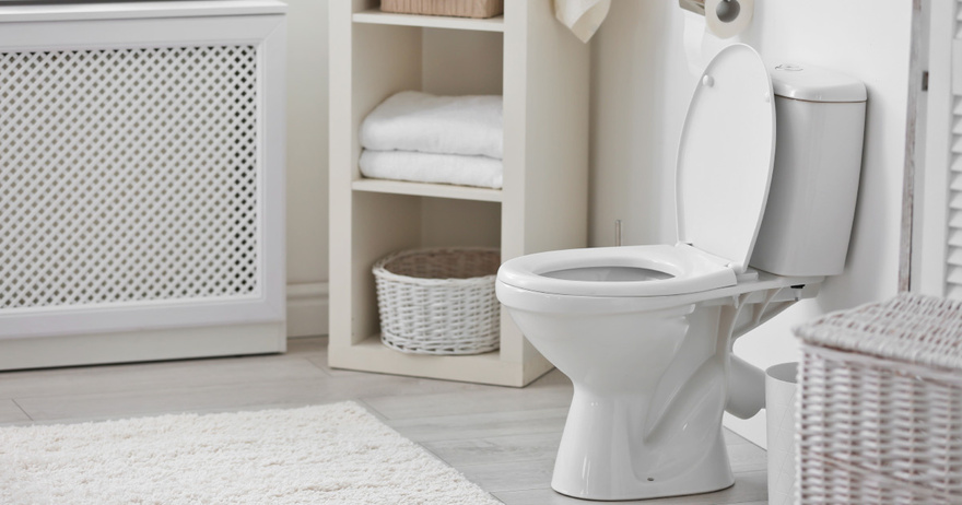 5 Creatures That Can Crawl In Through Your Toilet and How to Stop Them