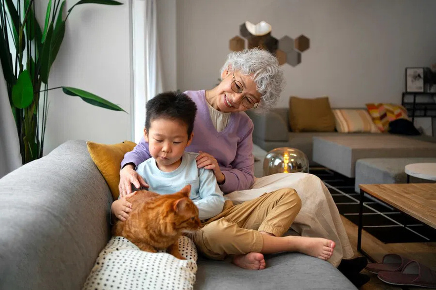 The mother-in-law mocked her son’s wife for a long time until one day she received an eviction notice signed by her daughter-in-law.