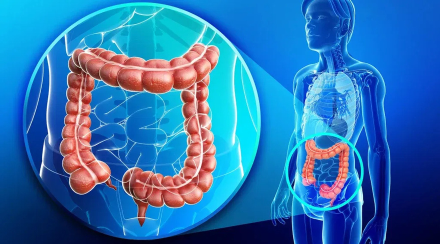 10 symptoms of bowel can.cer