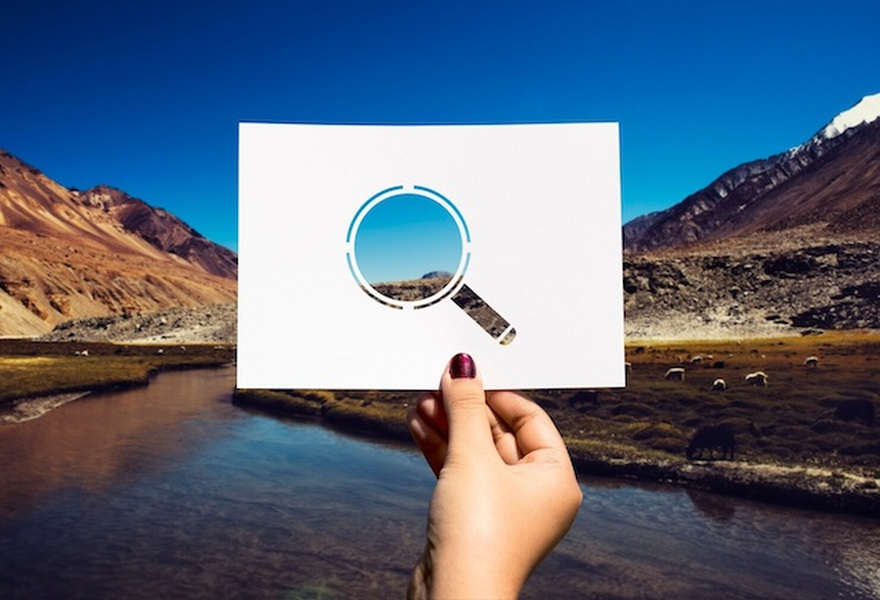 Think You Have Sharp Eyes? Find the Animal That’s Fooling Everyone