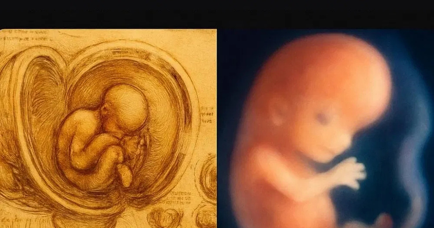DID YOU KNOW that a baby’s soul chooses its mother before birth?