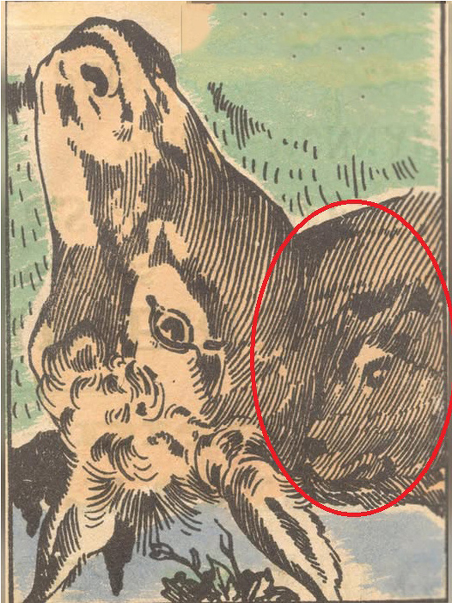 Test your eye skills: Where is the dog hidden?