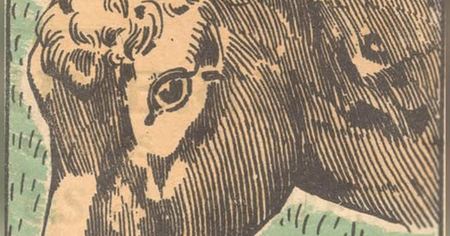 Test your eye skills: Where is the dog hidden?