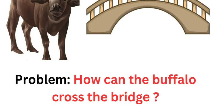 How can the buffalo cross the bridge?