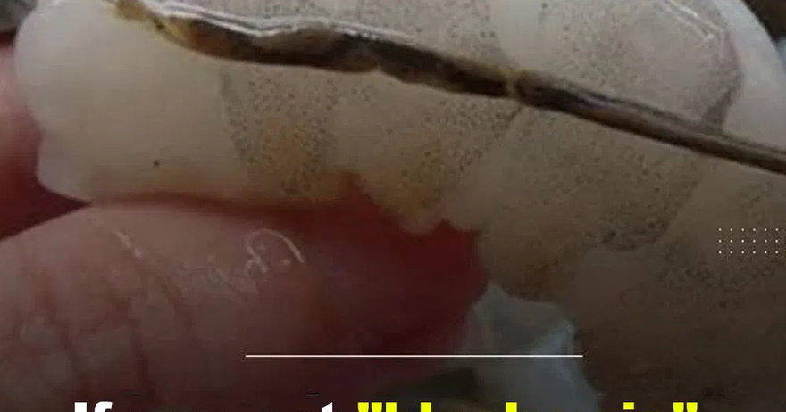 What happens if you eat the black vein in a shrimp’s tail?
