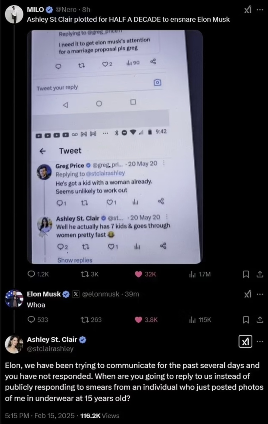 Influencer who claims she has given birth to Elon Musk’s 13th child shares damning comments following his one-word response