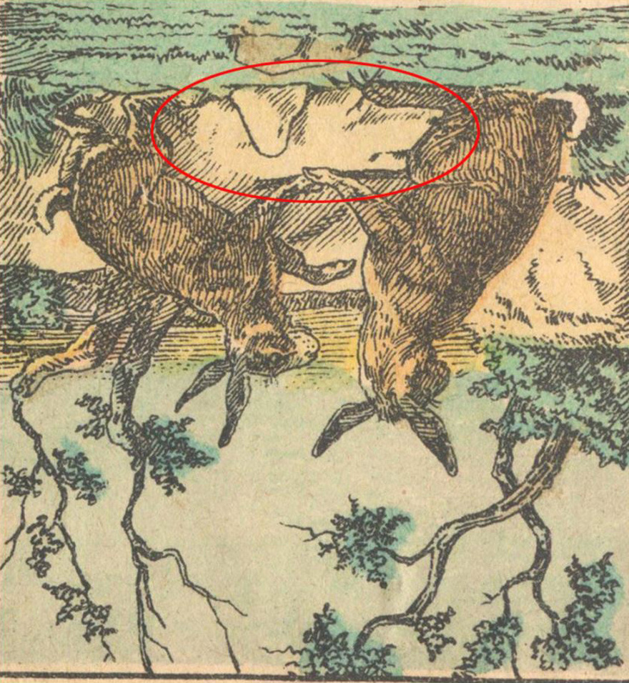 Only people with sharp eyes can see where the dog is