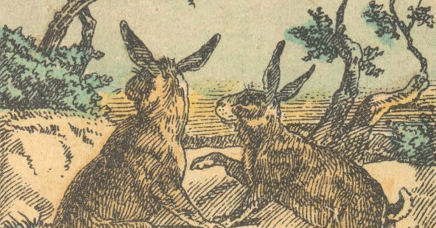 Only people with sharp eyes can see where the dog is
