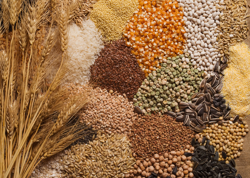 12 Best Foods To Support Digestive and Gut Health