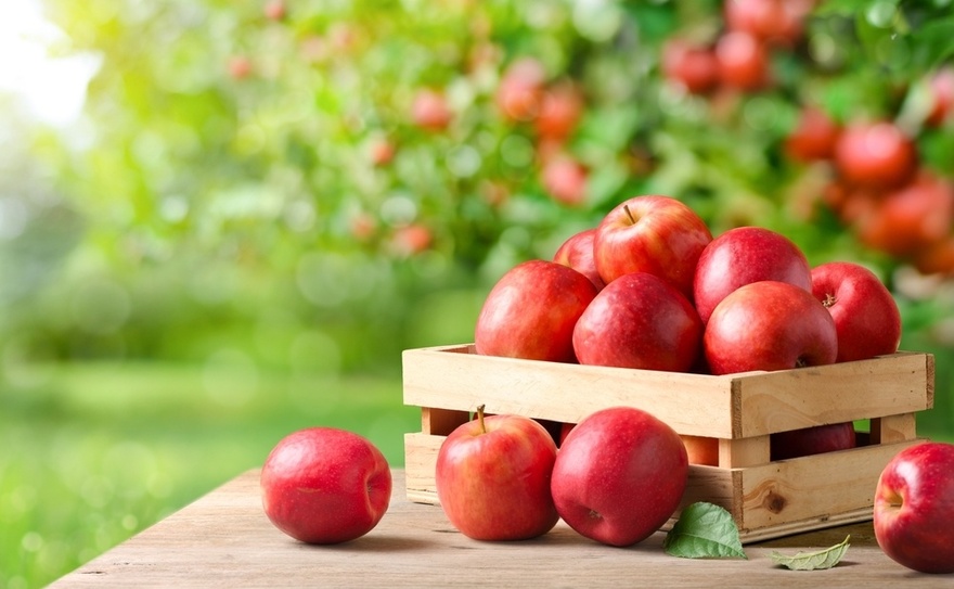 12 Best Foods To Support Digestive and Gut Health