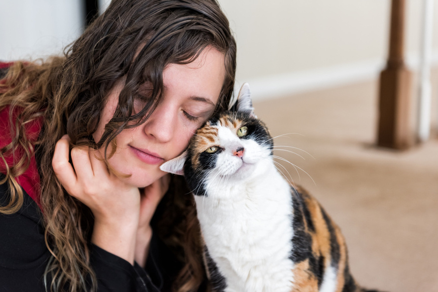 Understanding a Cat’s Behavior: Why Does It Rub and Scratch Against You?