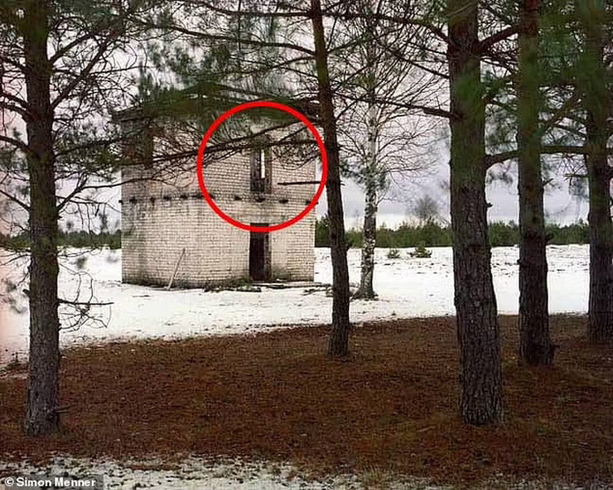 You have eyes of a marksman if you can spot deadly sniper in picture