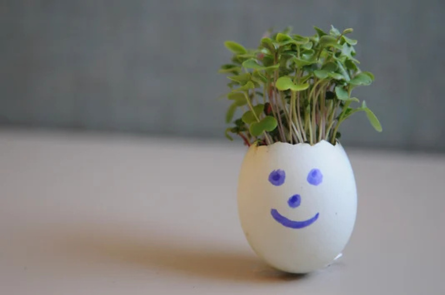 Don’t Toss Those Eggshells: 17 Ways to Reuse Them