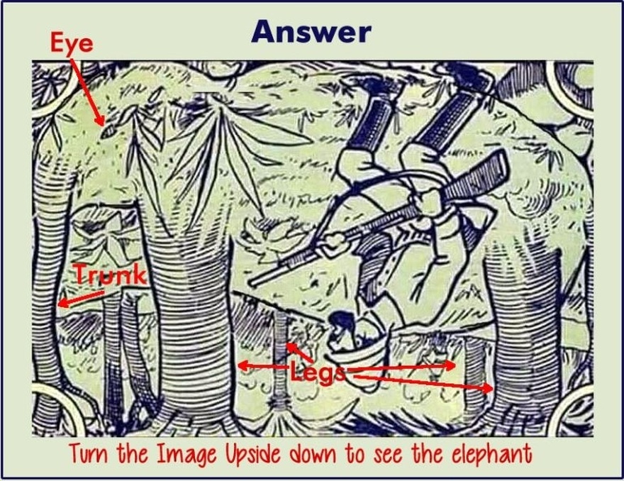 Can You See the Elephant in The Image?