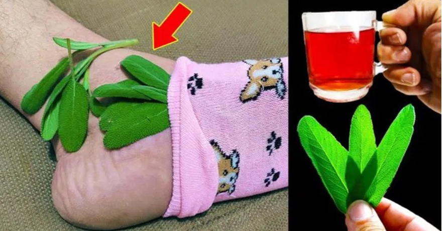 A Natural Miracle for Brain Health, Inflammation, and Joint Pain