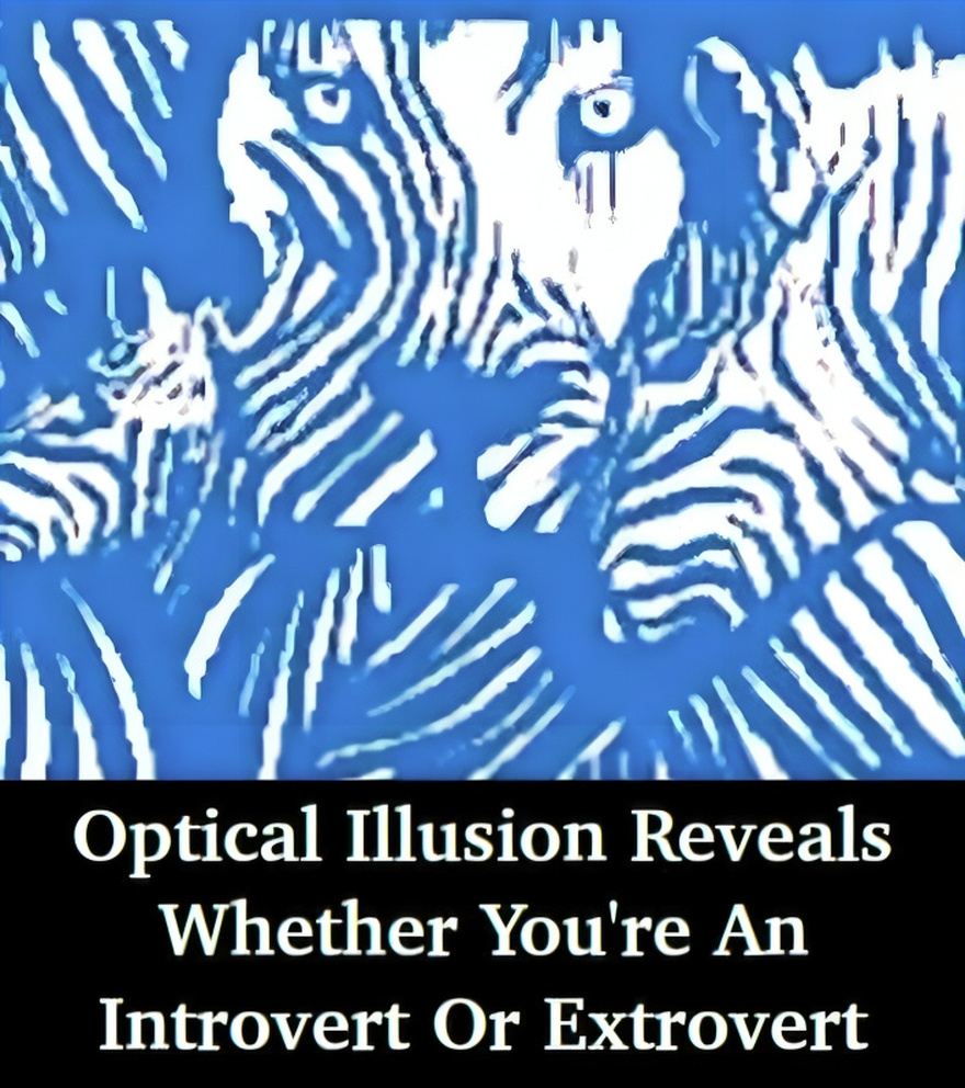 Optical illusion reveals whether you’re an introvert or extrovert