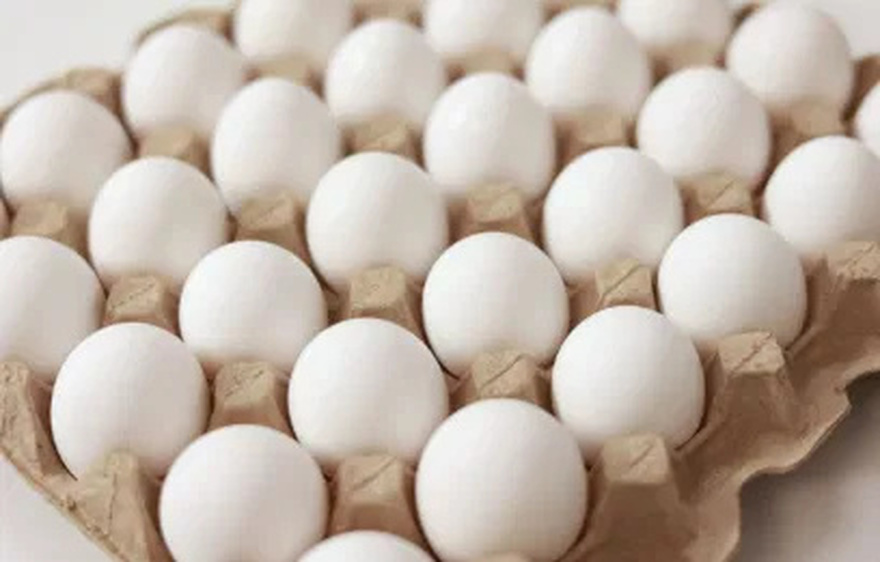 White or brown eggs? Learn which one to choose.
