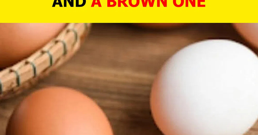 White or brown eggs? Learn which one to choose.